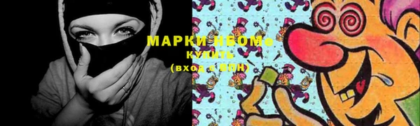 индика Балабаново