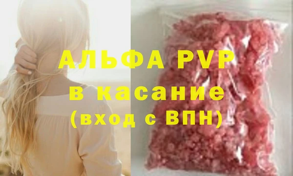 индика Балабаново