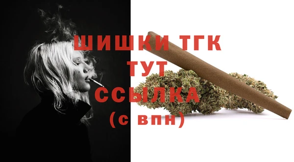 индика Балабаново