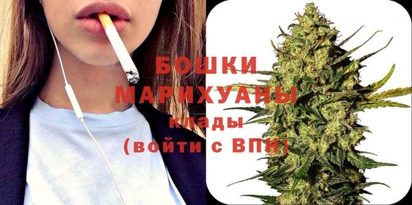 индика Балабаново