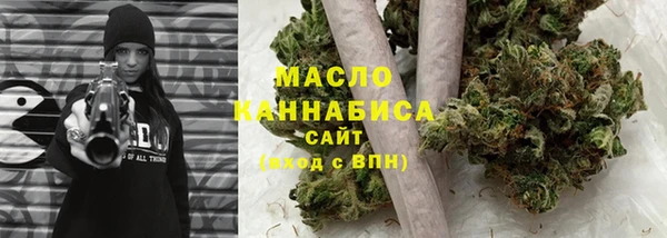 индика Балабаново