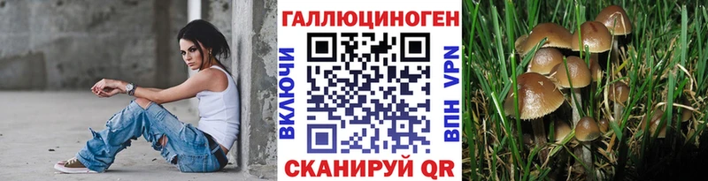 Псилоцибиновые грибы мицелий  продажа наркотиков  mega зеркало  Давлеканово 
