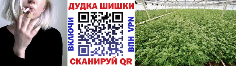 Каннабис White Widow  Давлеканово 